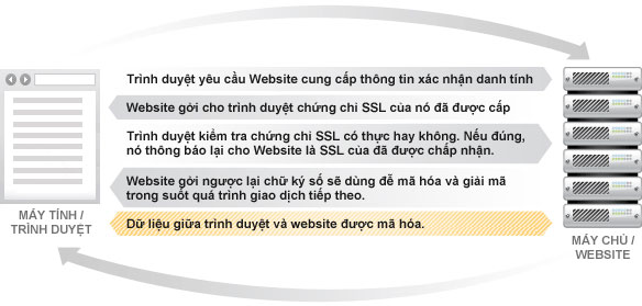 SSL hoạt động như thế nào?