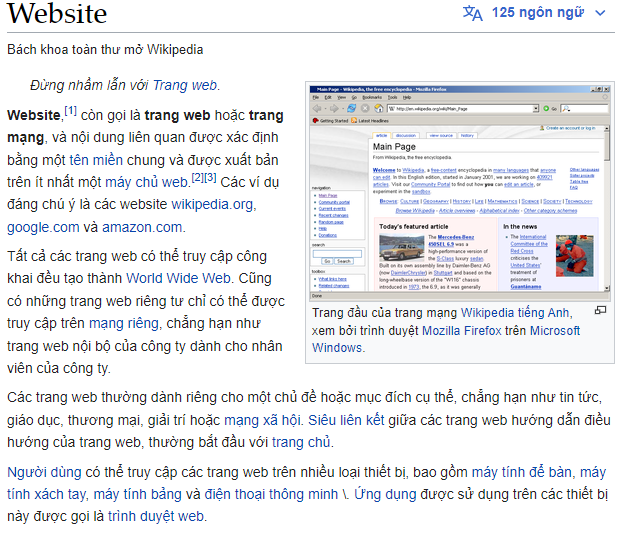 Wikipedia - Website