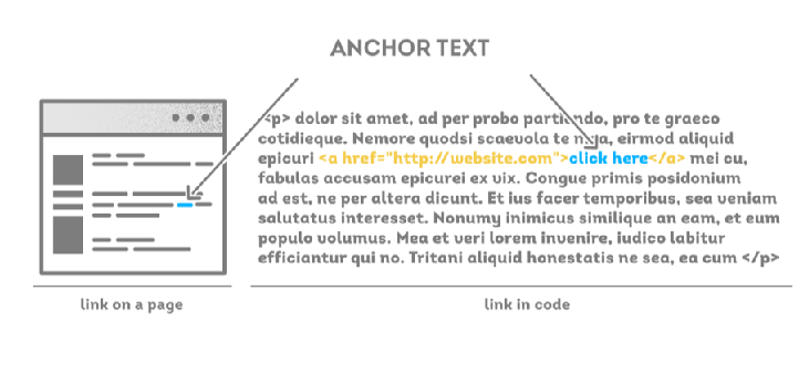 Anchor text là một phần của cấu trúc website chuẩn SEO.