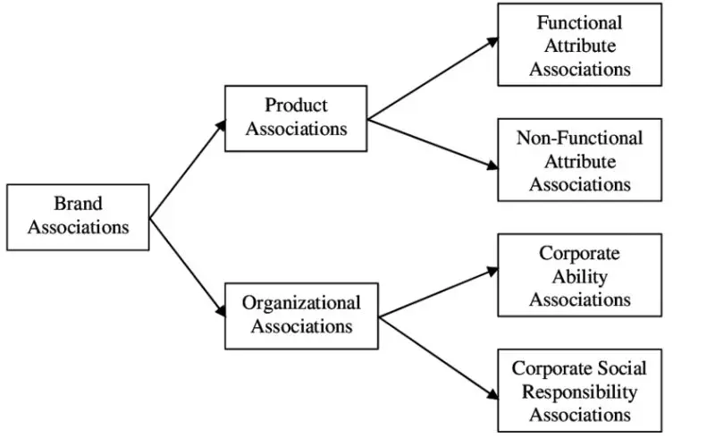 Brand association gồm những gì?