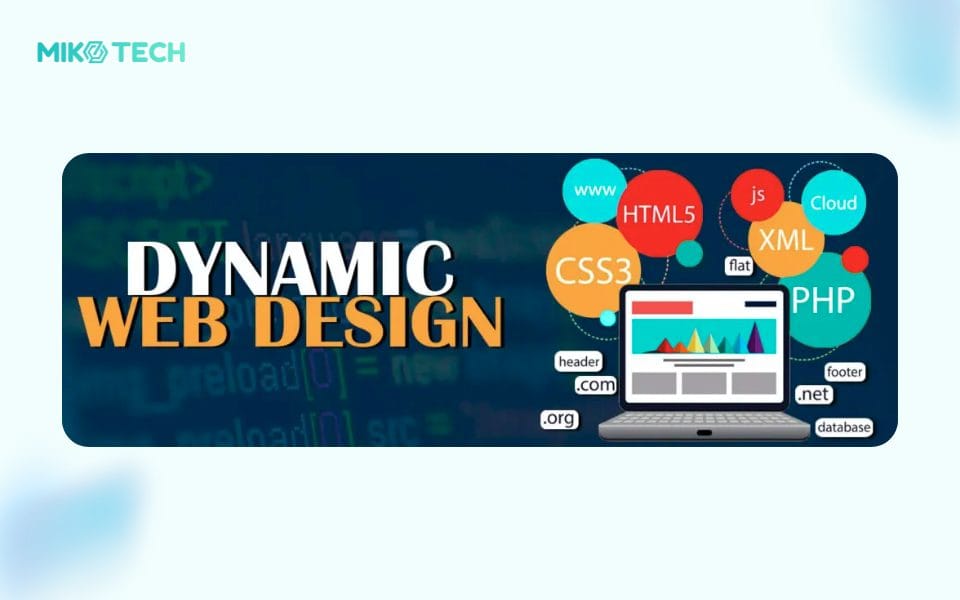 Web động là gì? Sự khác nhau giữa web động và Web tĩnh 1 fix img miko 47