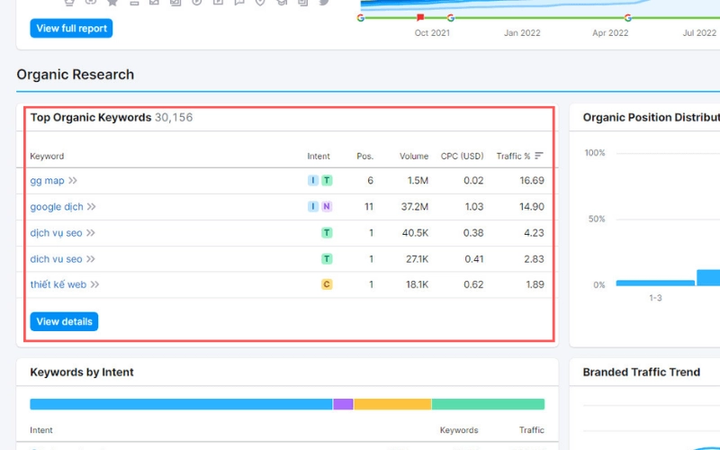 domain overview semrush