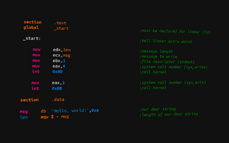Assembly Là Gì? Thông Tin Cần biết Về Ngôn Ngữ Assembly