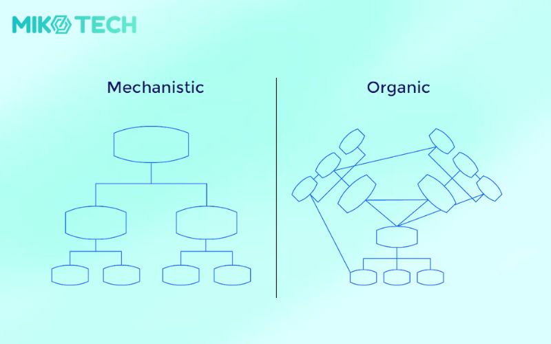mechanistic and organic structure