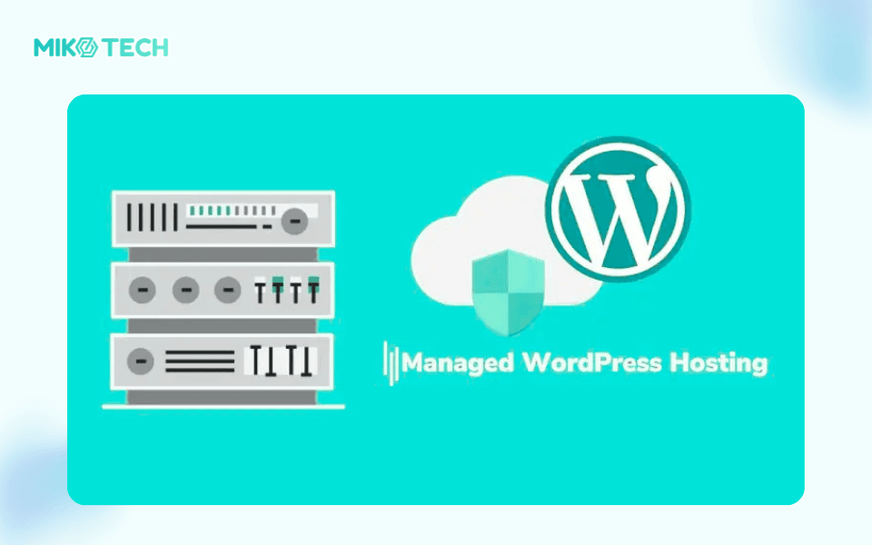 WordPress Hosting Là Gì? Ưu Điểm Và Cách Phân Loại WordPress Hosting 5 fix img miko 24