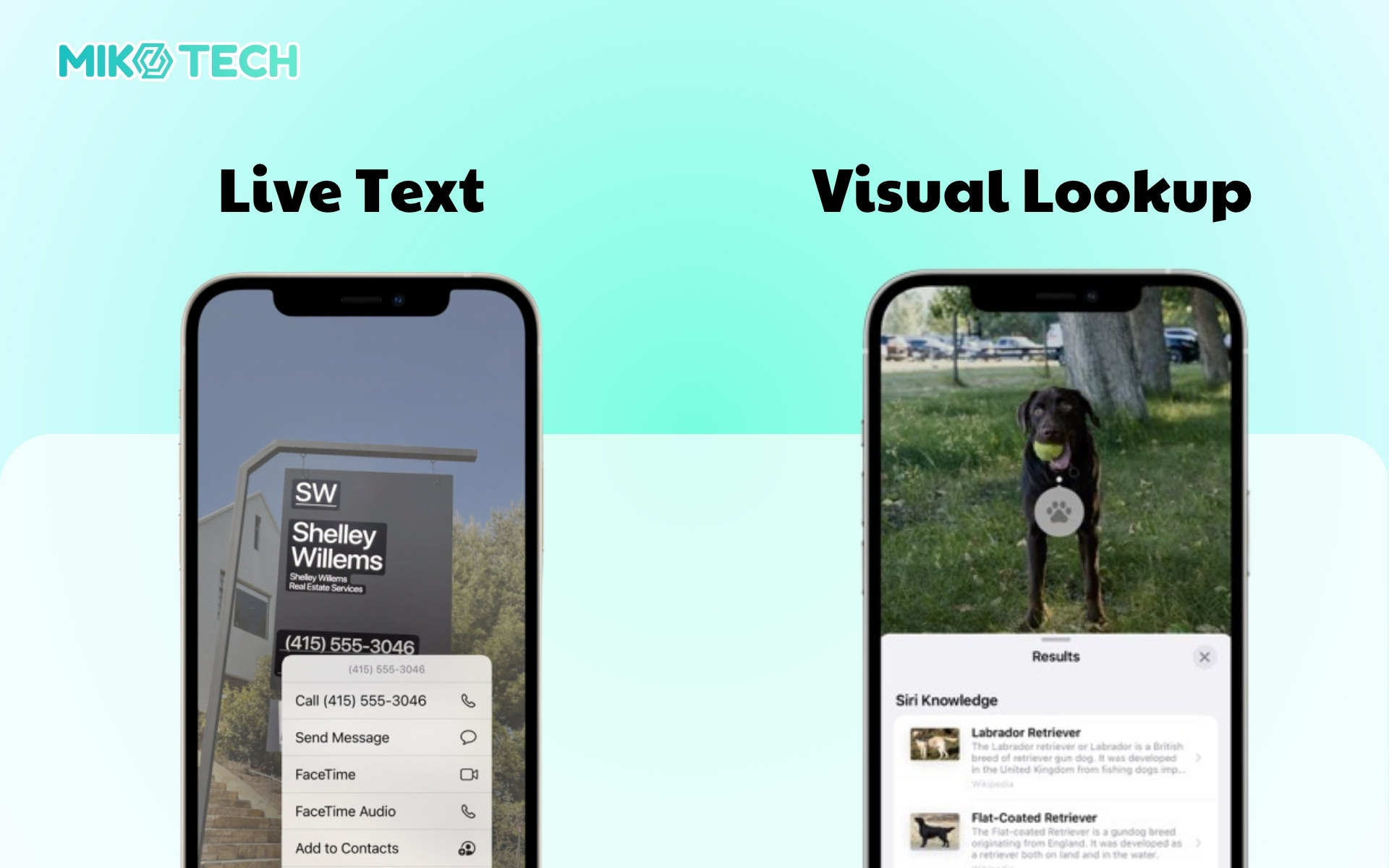 Live Text và Visual Lookup