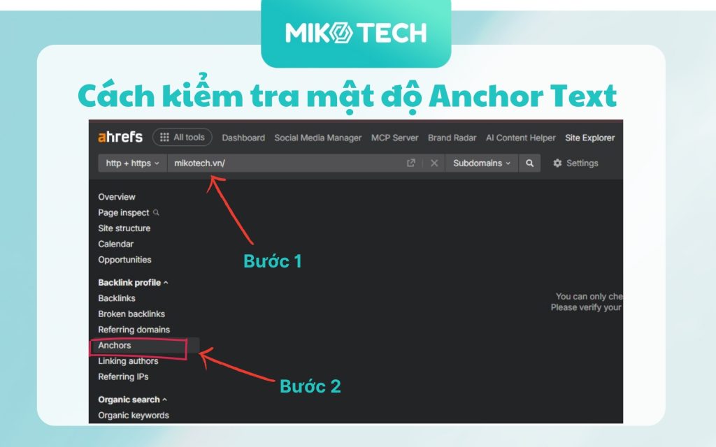 Cách kiểm tra mật độ Anchor Text