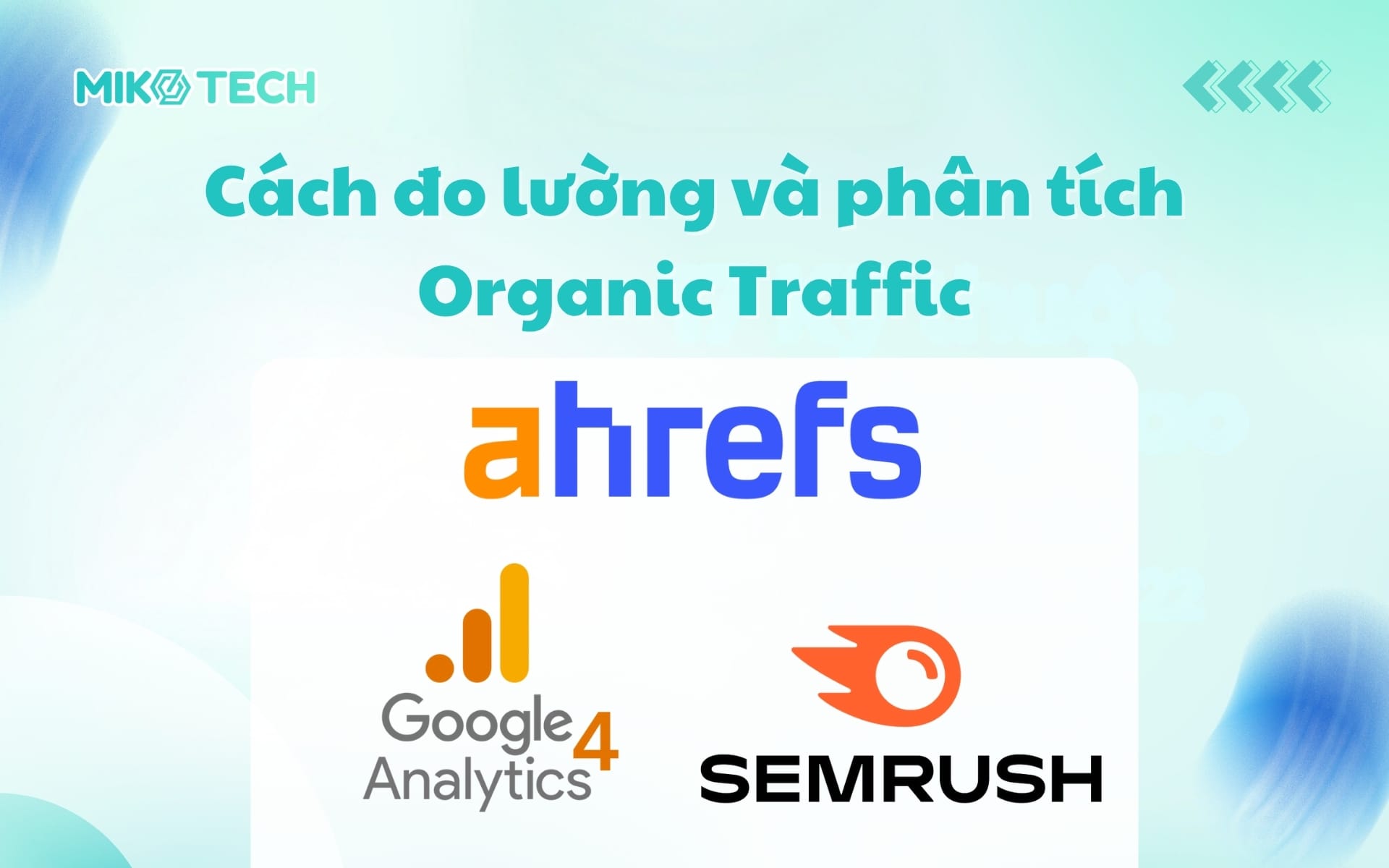Cách đo lường và phân tích Organic Traffic