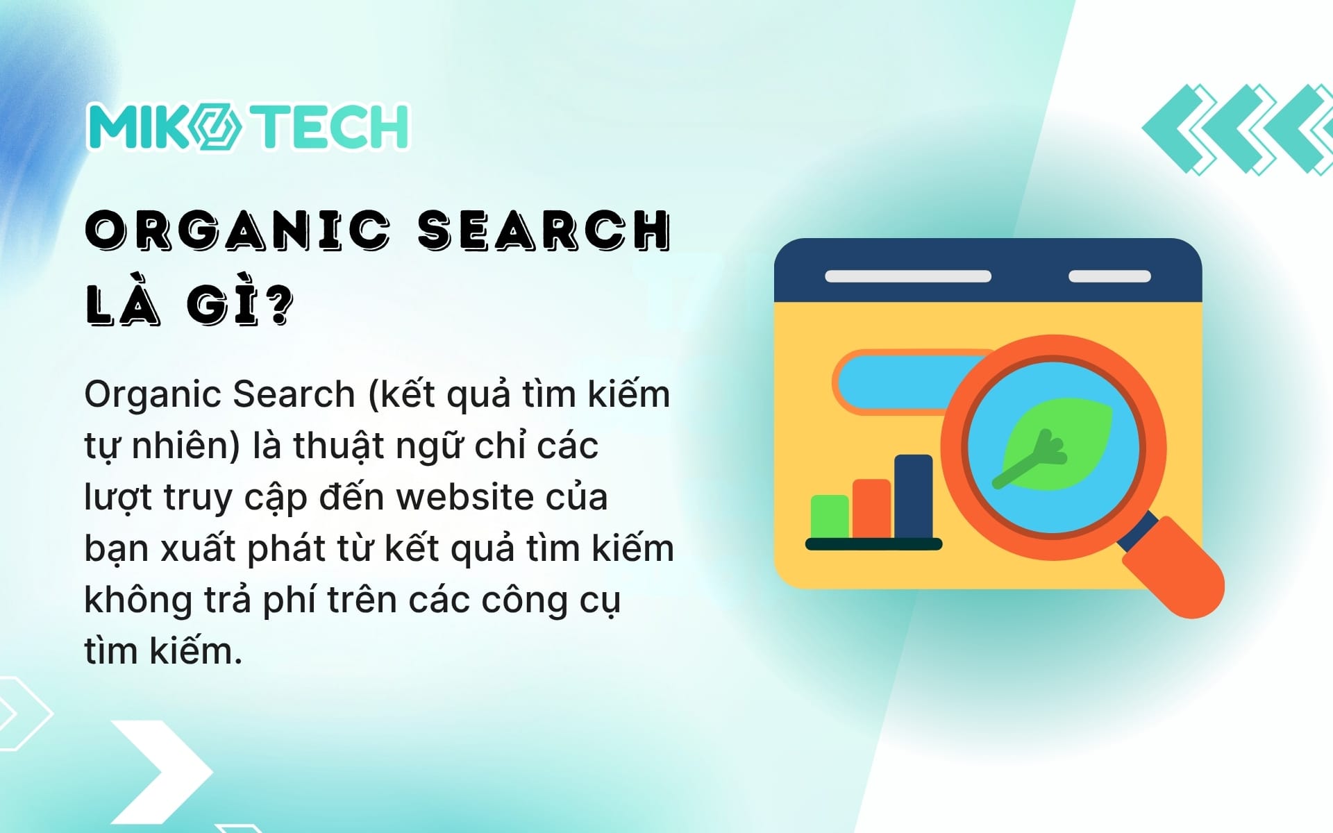 Organic Search là gì?