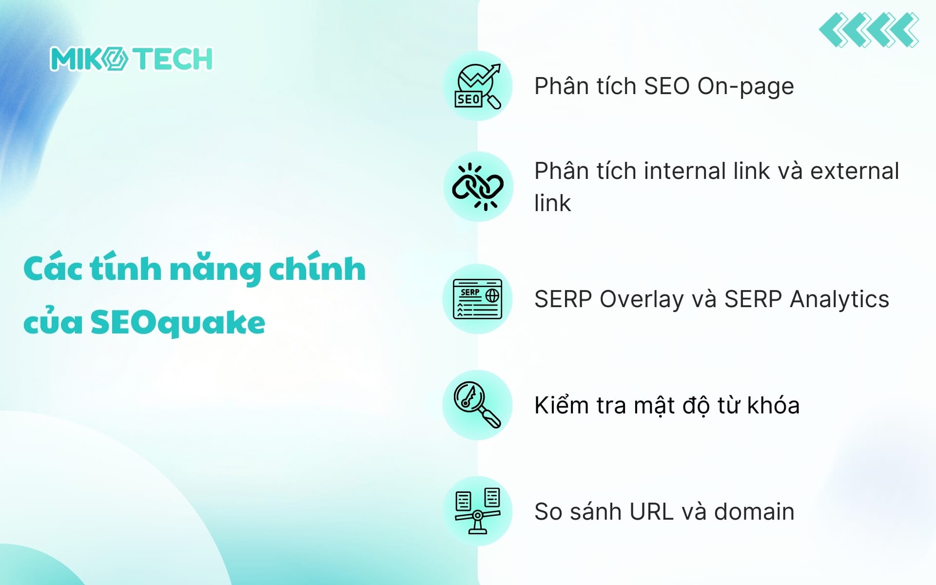 Các tính năng chính của SEOquake 