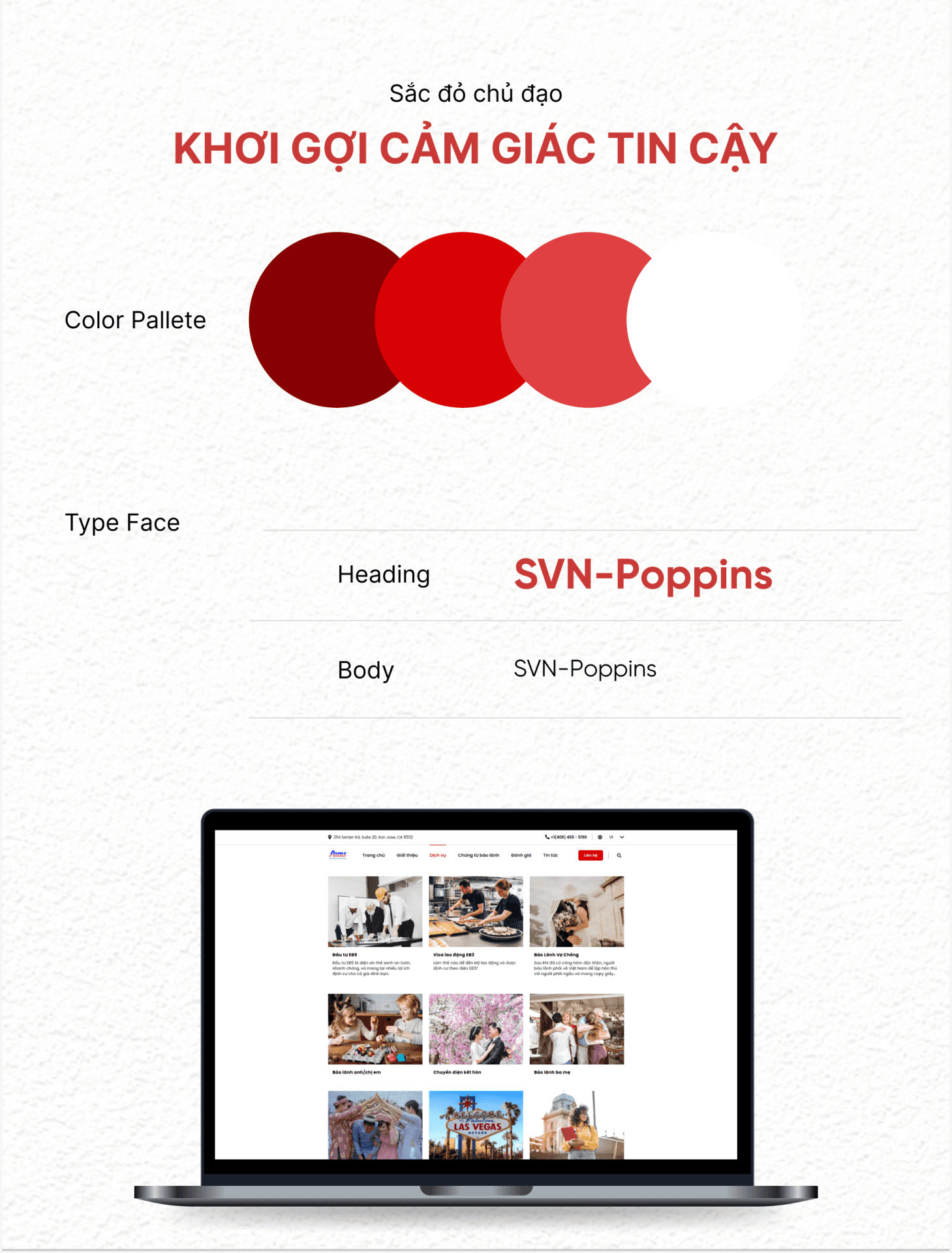 Color pallete website AIMS