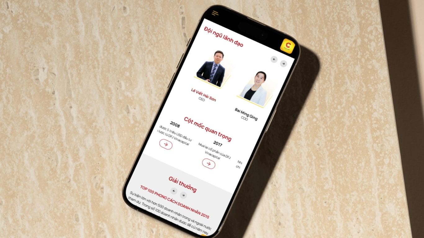 Website responsive Chicilon Media