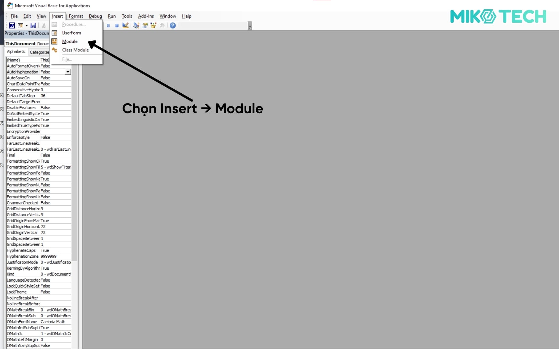 Bước 2: Chọn Insert > Module