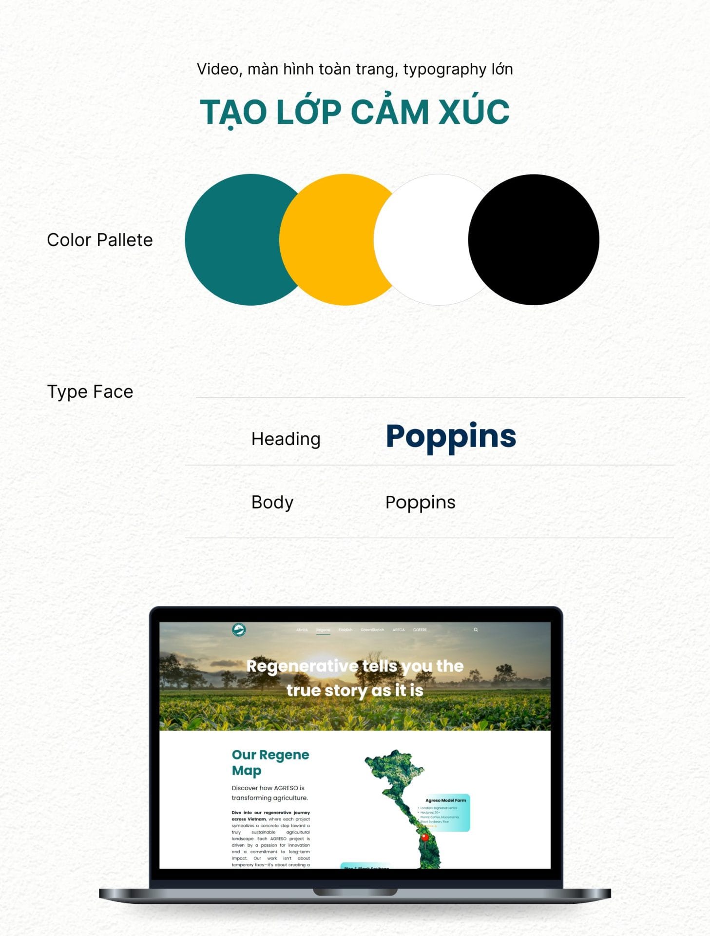 Color pallete web Agreso
