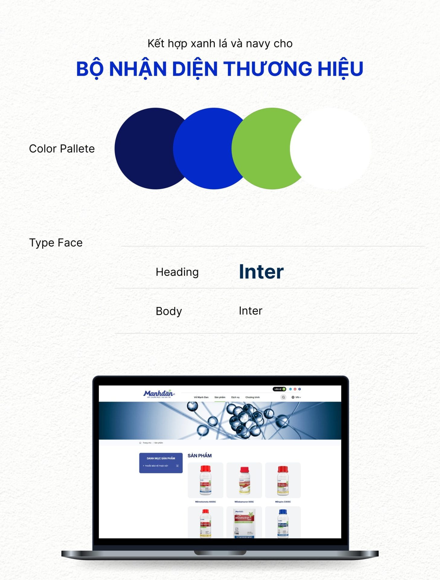 Dự án Mạnh Đan 3 Color pallete website Mạnh Đan