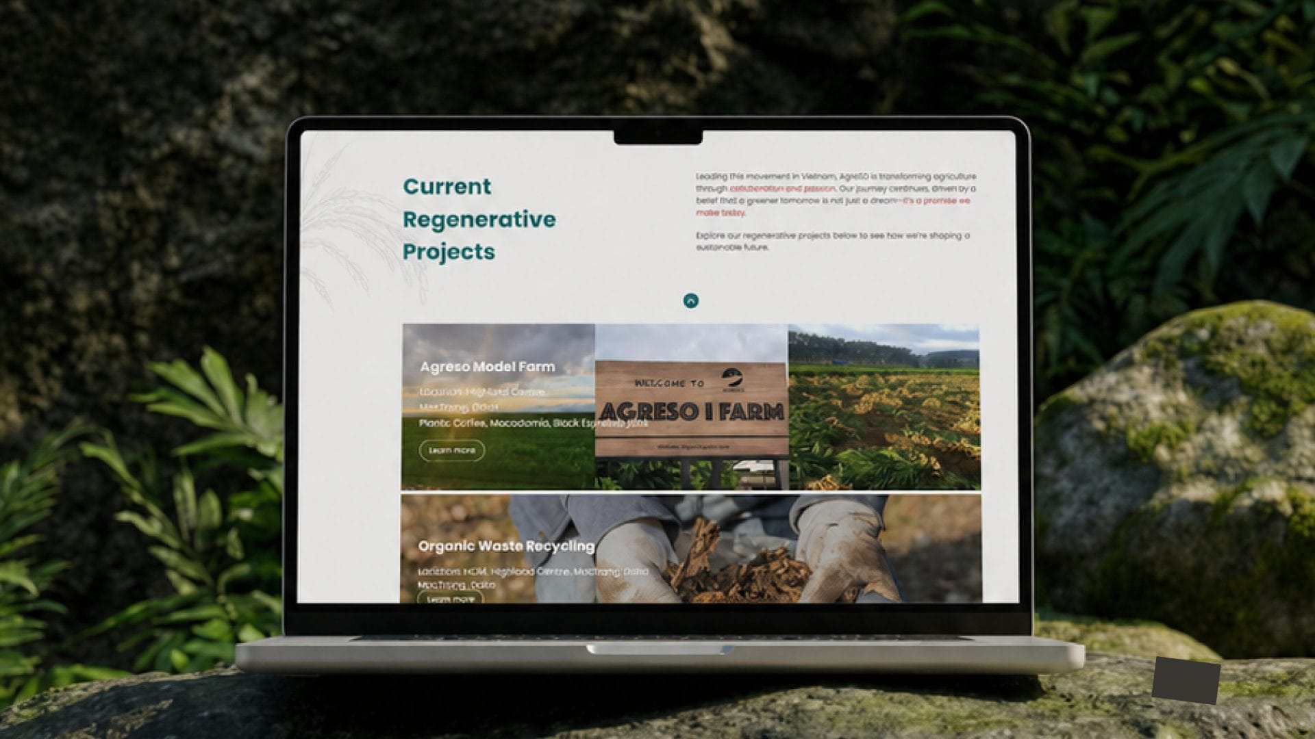 Thiết kế web Agreso