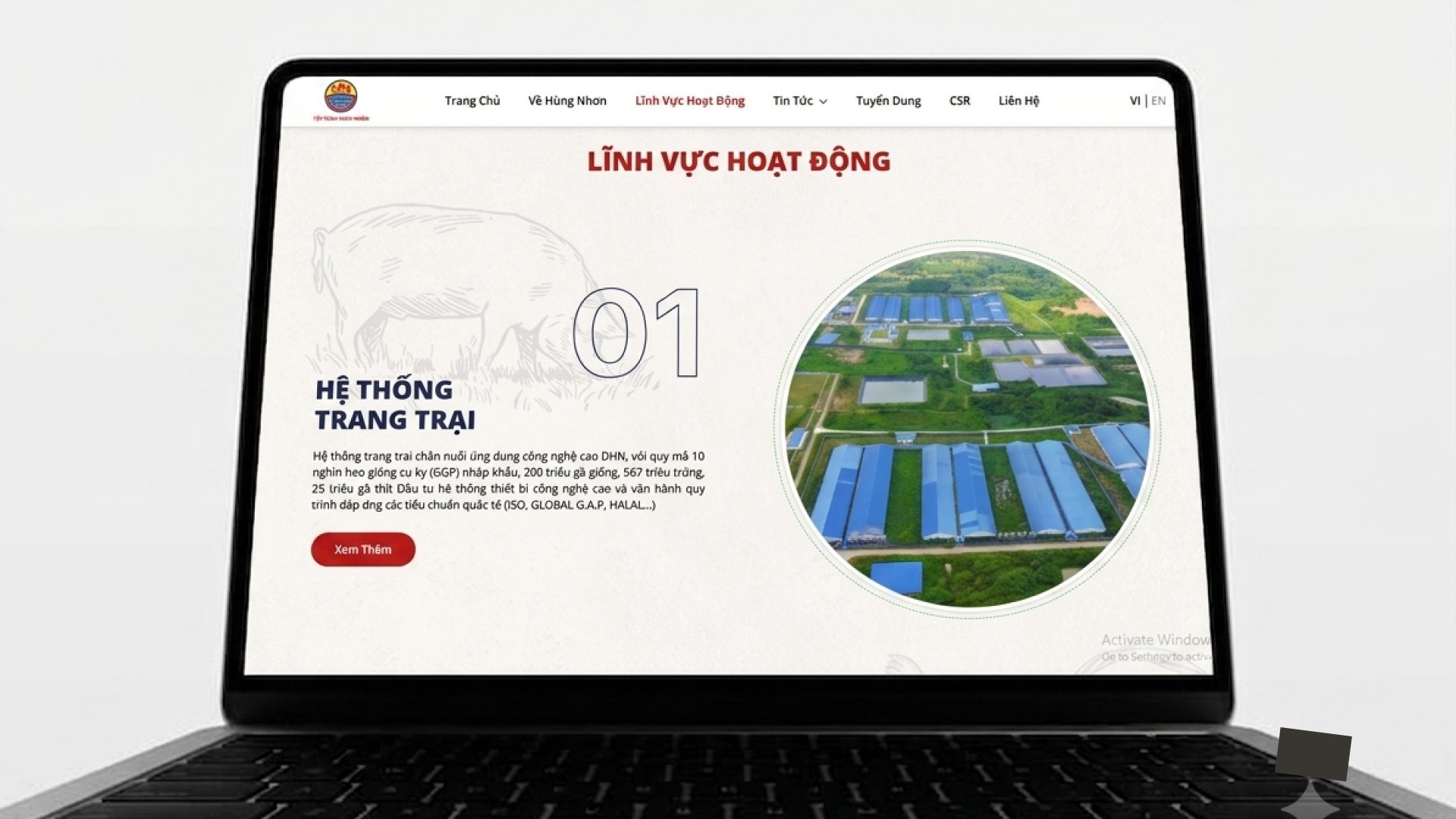 Web Hùng Nhơn Group