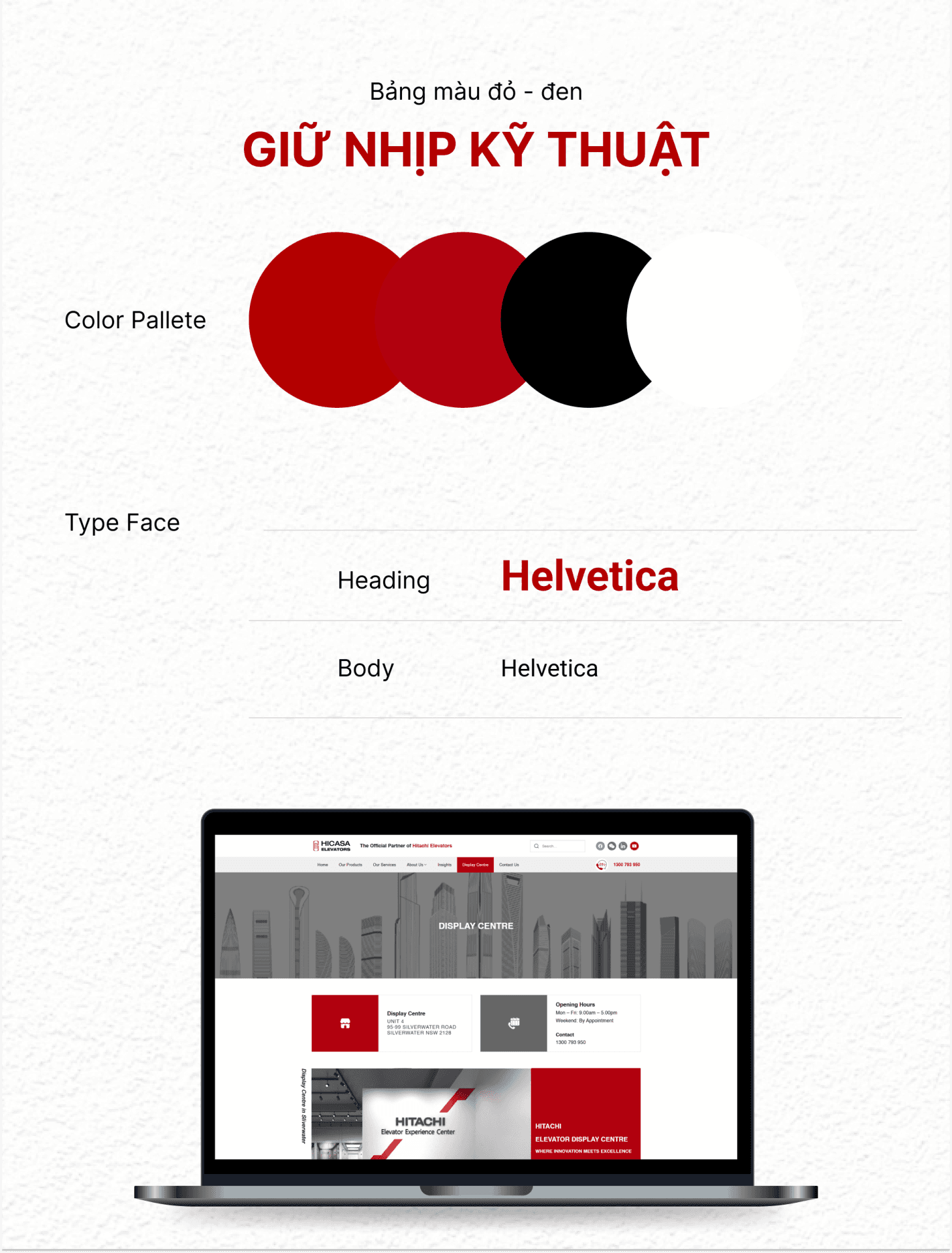 Dự án Hicasa Elevators 3 Color pallete website Hicasa Elevators